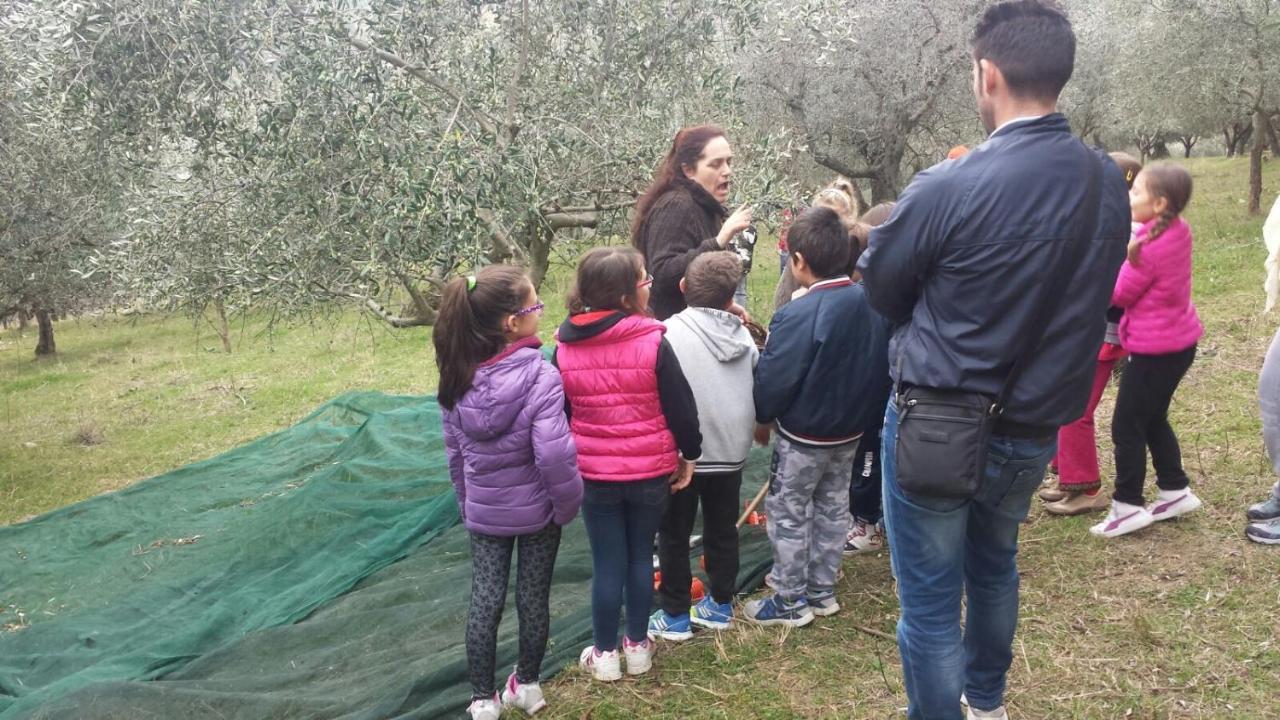 Вилла Societa Agricola F.Lli Angelucci Cannara Экстерьер фото
